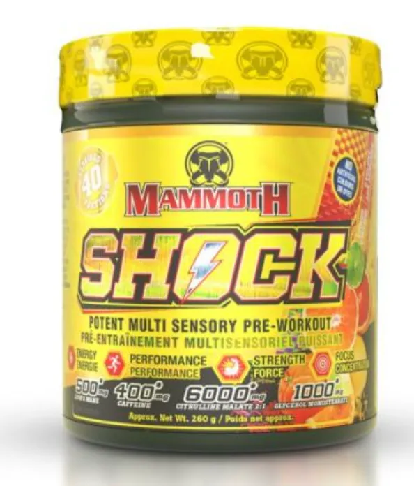 Mammoth Shock 40S