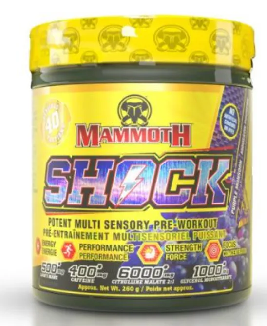 Mammoth Shock 40S