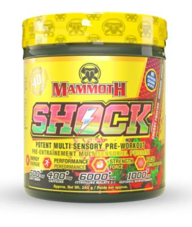 Mammoth Shock 40S