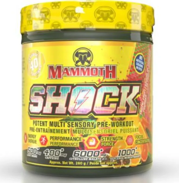 Mammoth Shock 40S