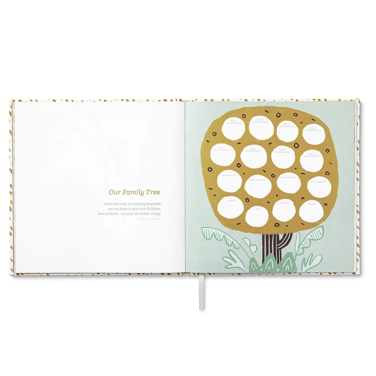 You're Here! A Keepsake Baby Book
